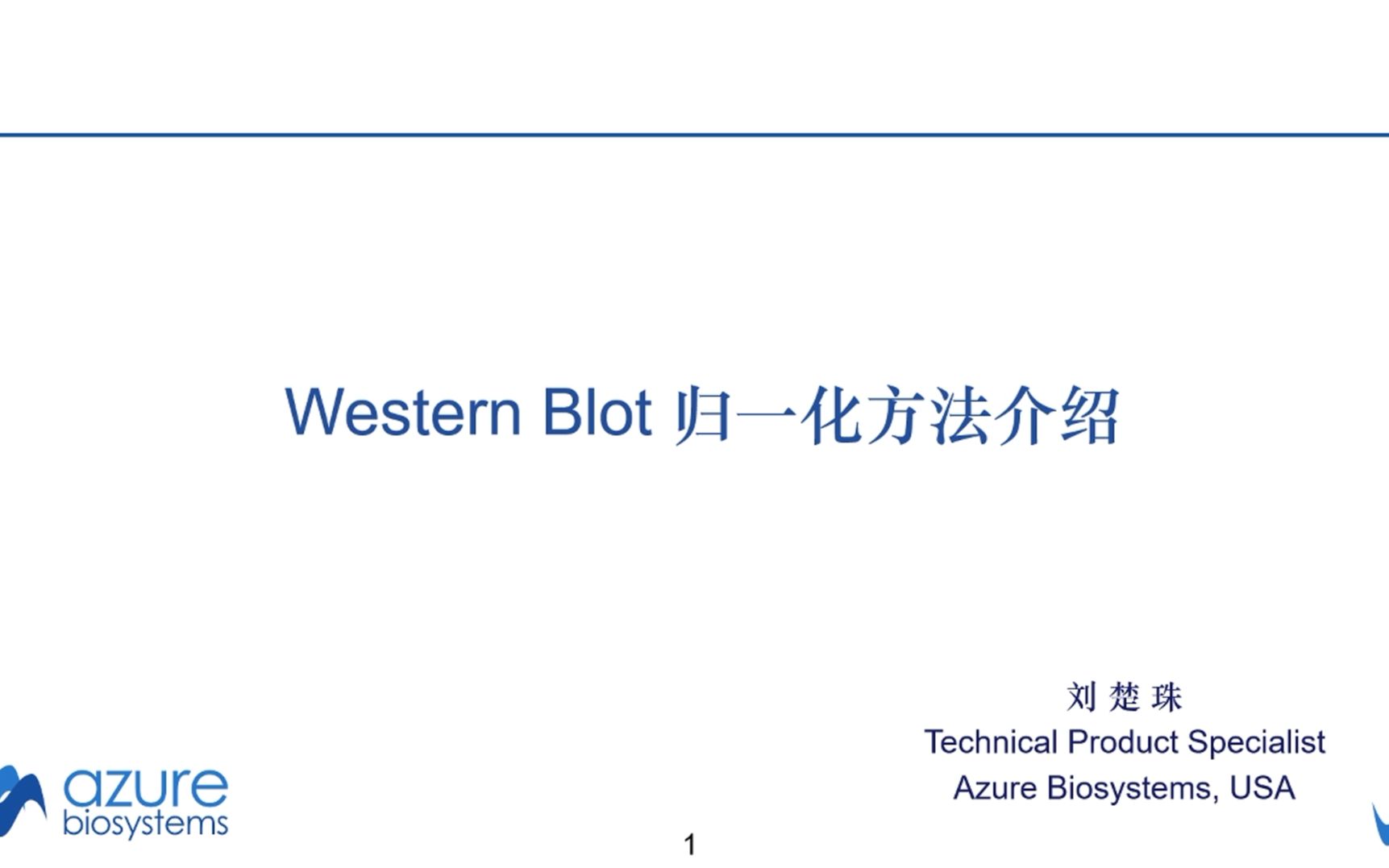 Western Blot 归一化方法介绍哔哩哔哩bilibili