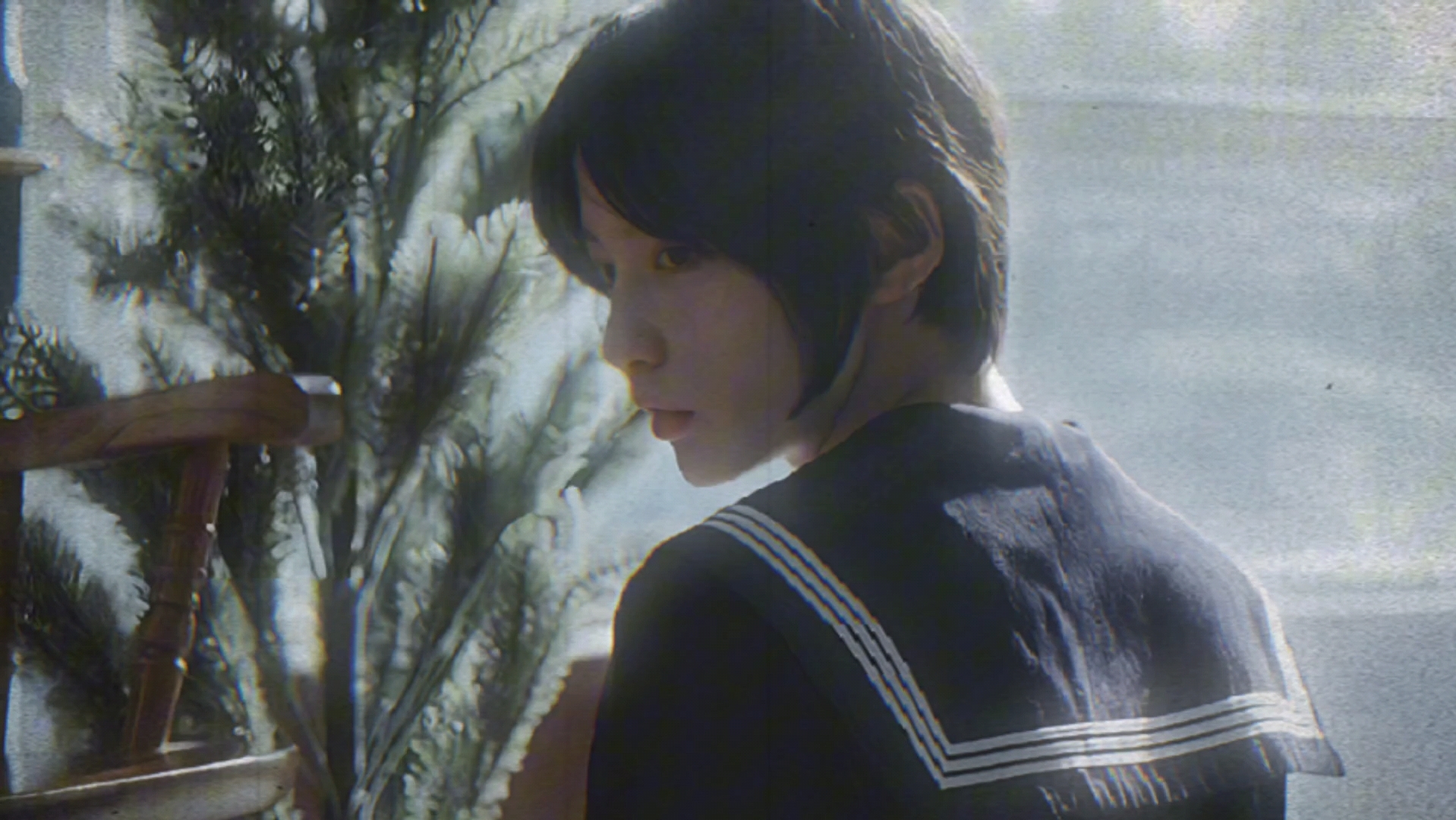 成果#犬来八荒 侧颜