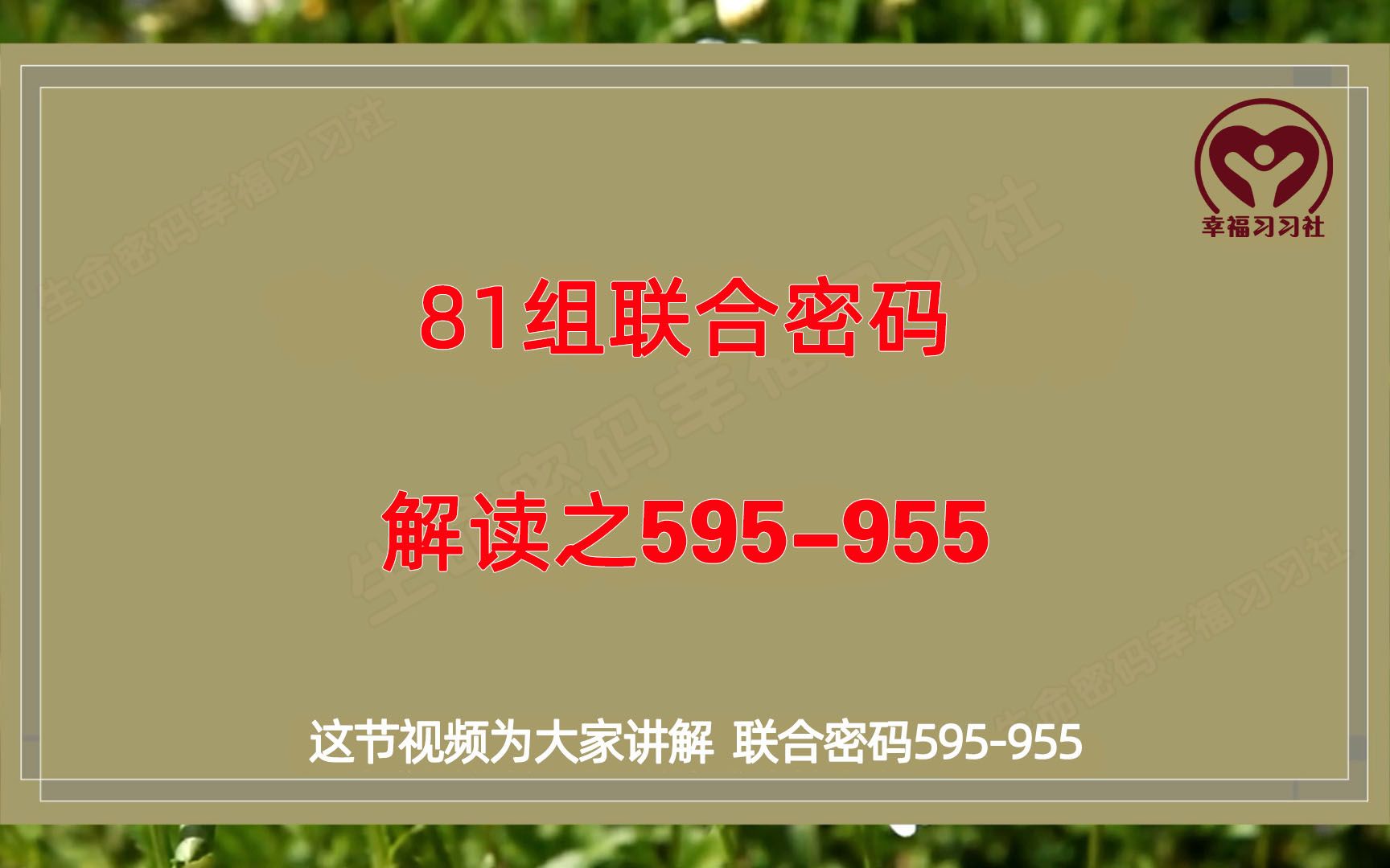 生命密码解读,81组联合密码解析之“大哥大姐码”595955哔哩哔哩bilibili