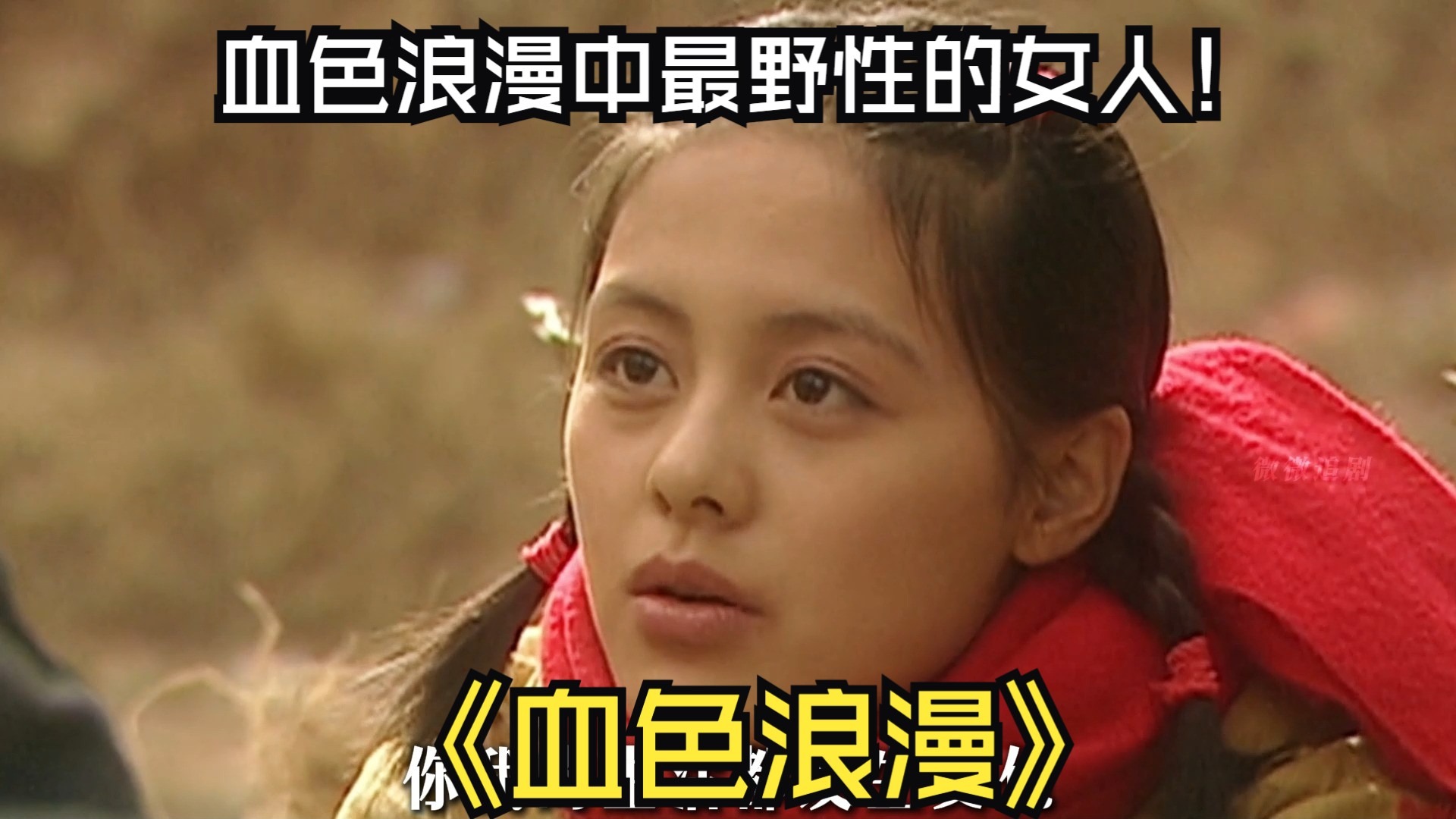 角色第一视角独白系列《血色浪漫》之秦岭-陕北黄土高原上能否开出白玫瑰？