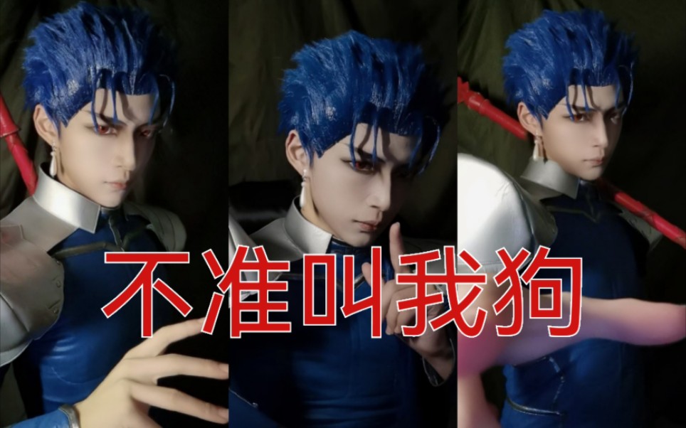 狗狗变身cos都比我好看| fate库丘林cos