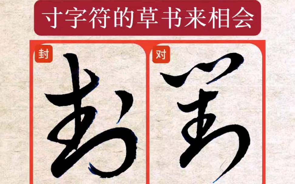 寸字符的草书来开会