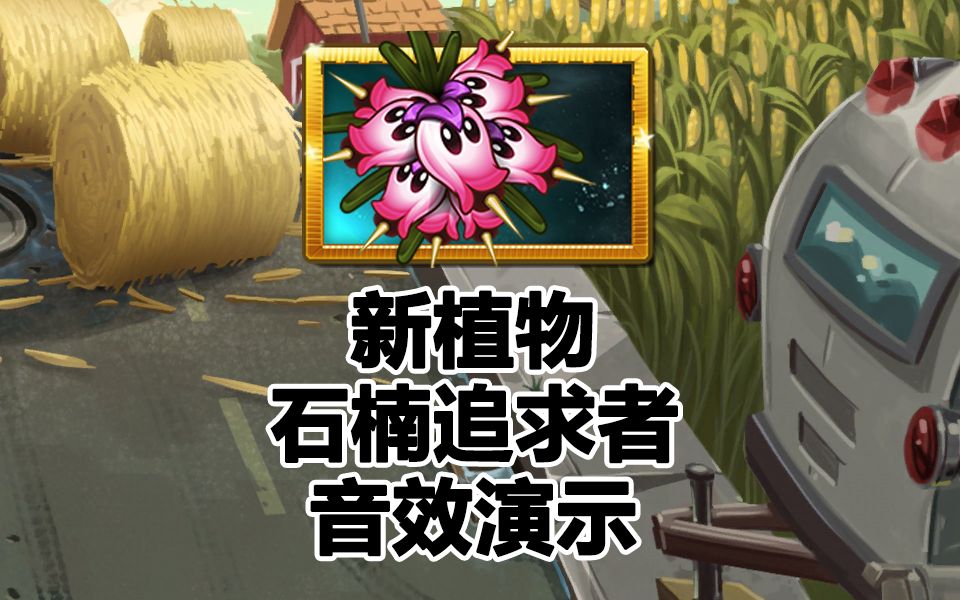 新植物 - 石楠追求者 音效演示