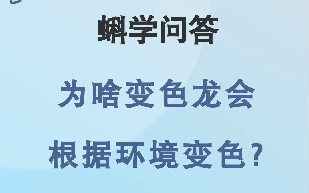 蝌学问答|为啥变色龙会根据环境变色?哔哩哔哩bilibili