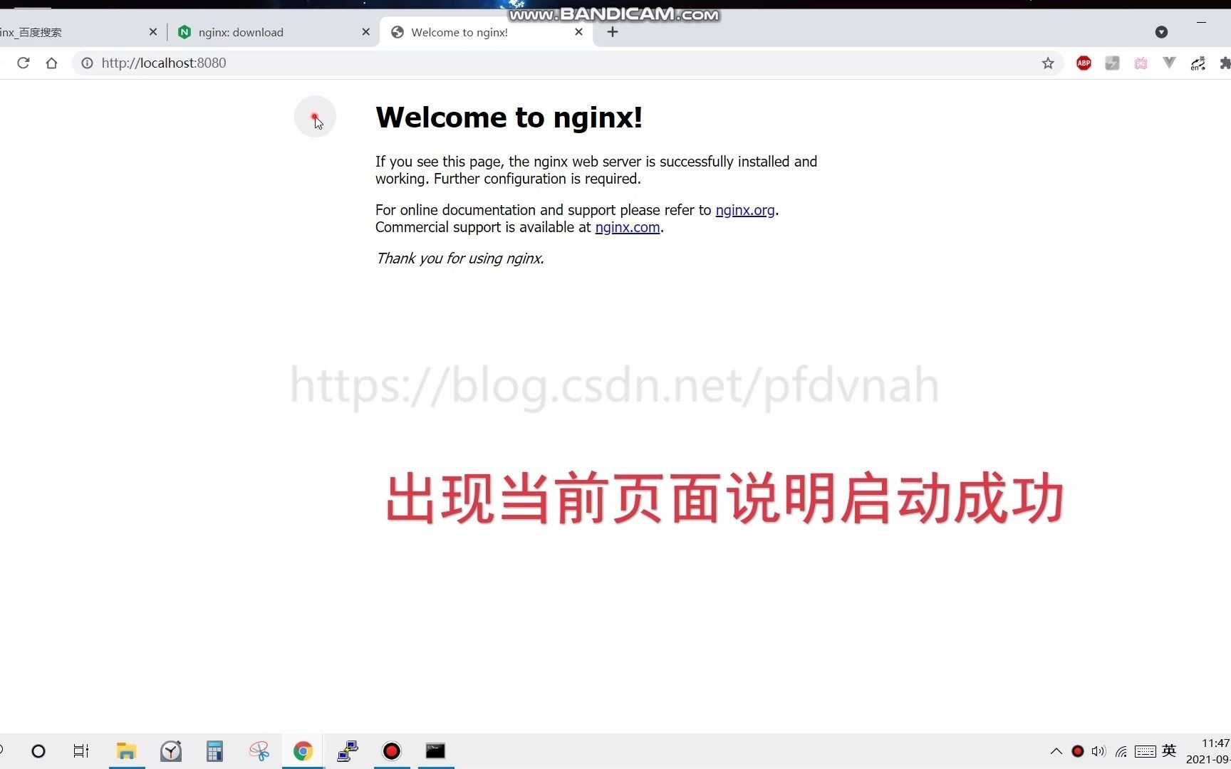 Windows下载Nginx哔哩哔哩bilibili