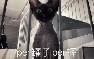 Download Video: 【争宠】华晨宇和perper以及ET的故事