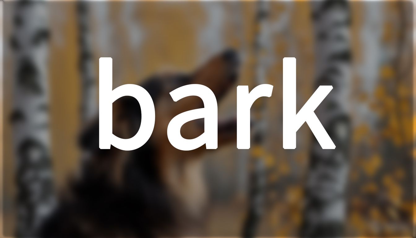 bark rubbing图片