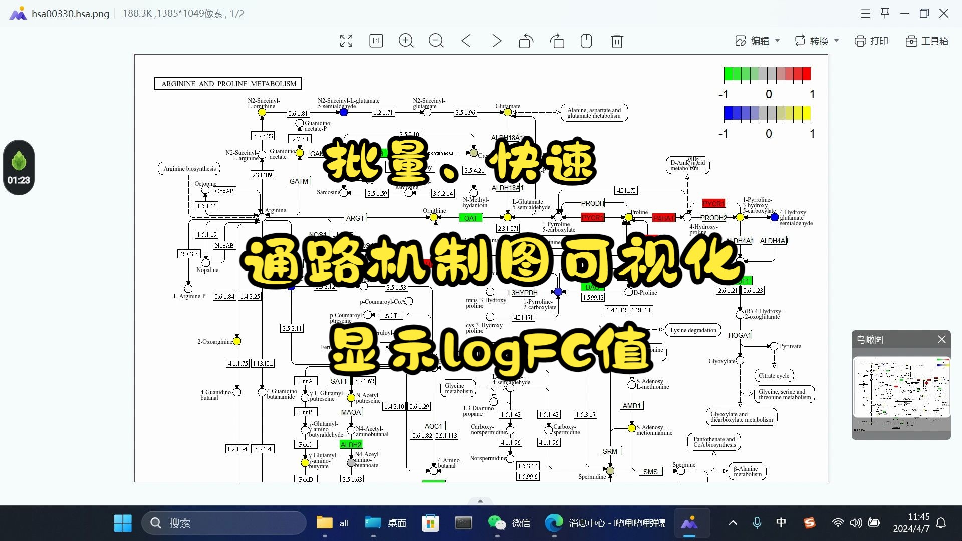 如何对基因和代谢物协同参与的通路机制图可视化(可根据logFC值显示不同颜色)哔哩哔哩bilibili