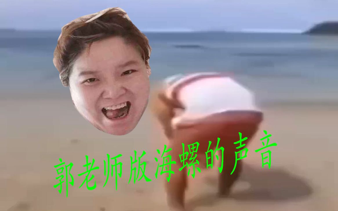 迷人的郭老师郭老师版海螺的声音点个赞吧