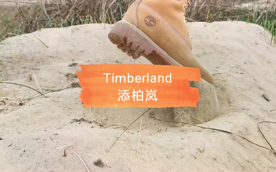 Timberland添柏岚哔哩哔哩bilibili