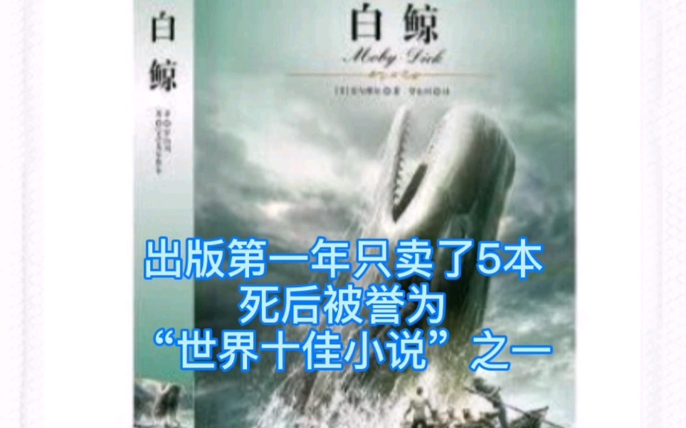 出版第一年只卖了5本,死后被誉为“世界十佳小说”之一哔哩哔哩bilibili