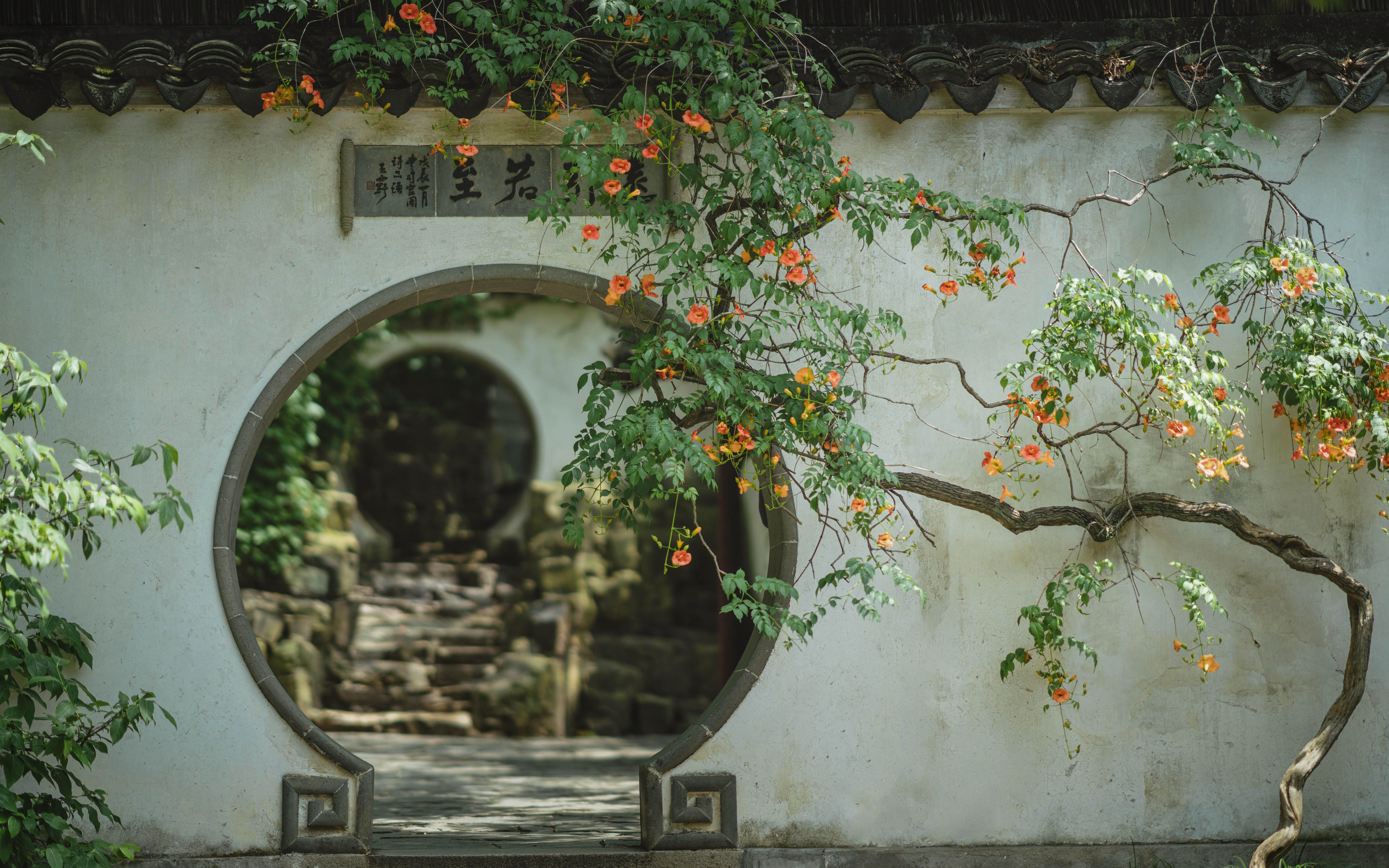 [图]诗成流水上，梦尽落花间 | 苏州园林花影集