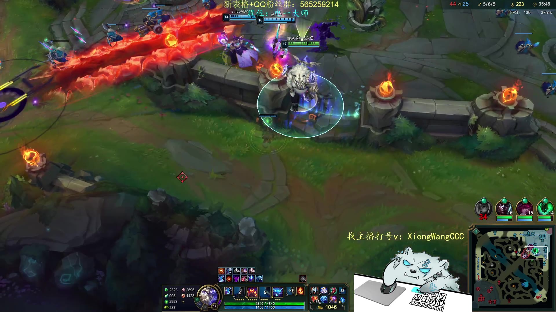 【熊王c】2024-03-13 直播回放