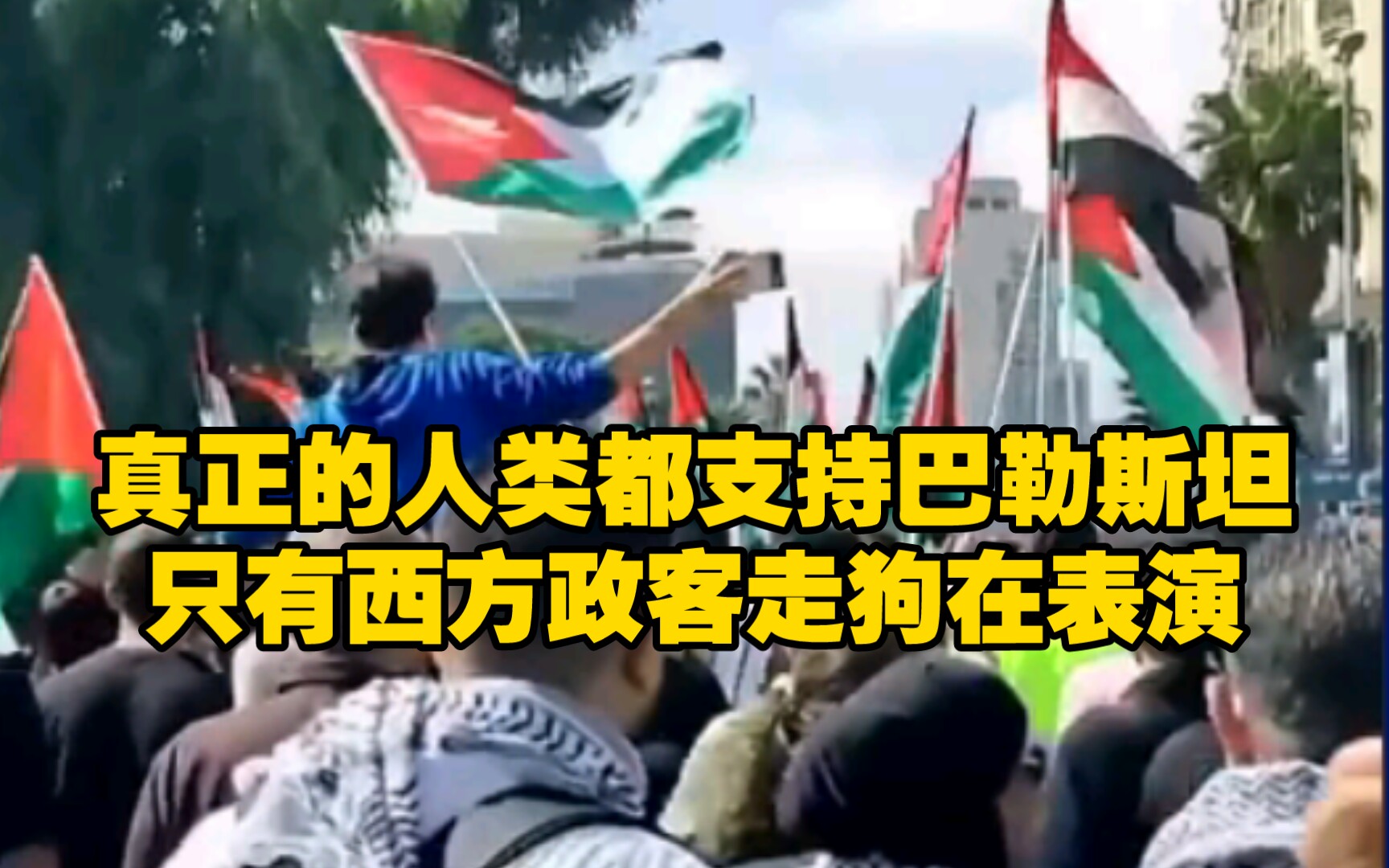 全世界善良的人们都在支持巴勒斯坦,只有美西方政客走狗在表演.