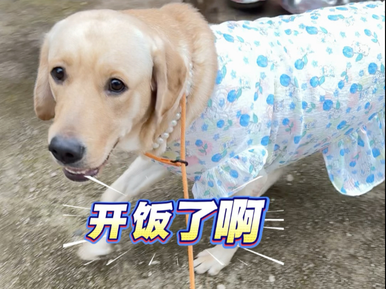 散步到一半喊开饭