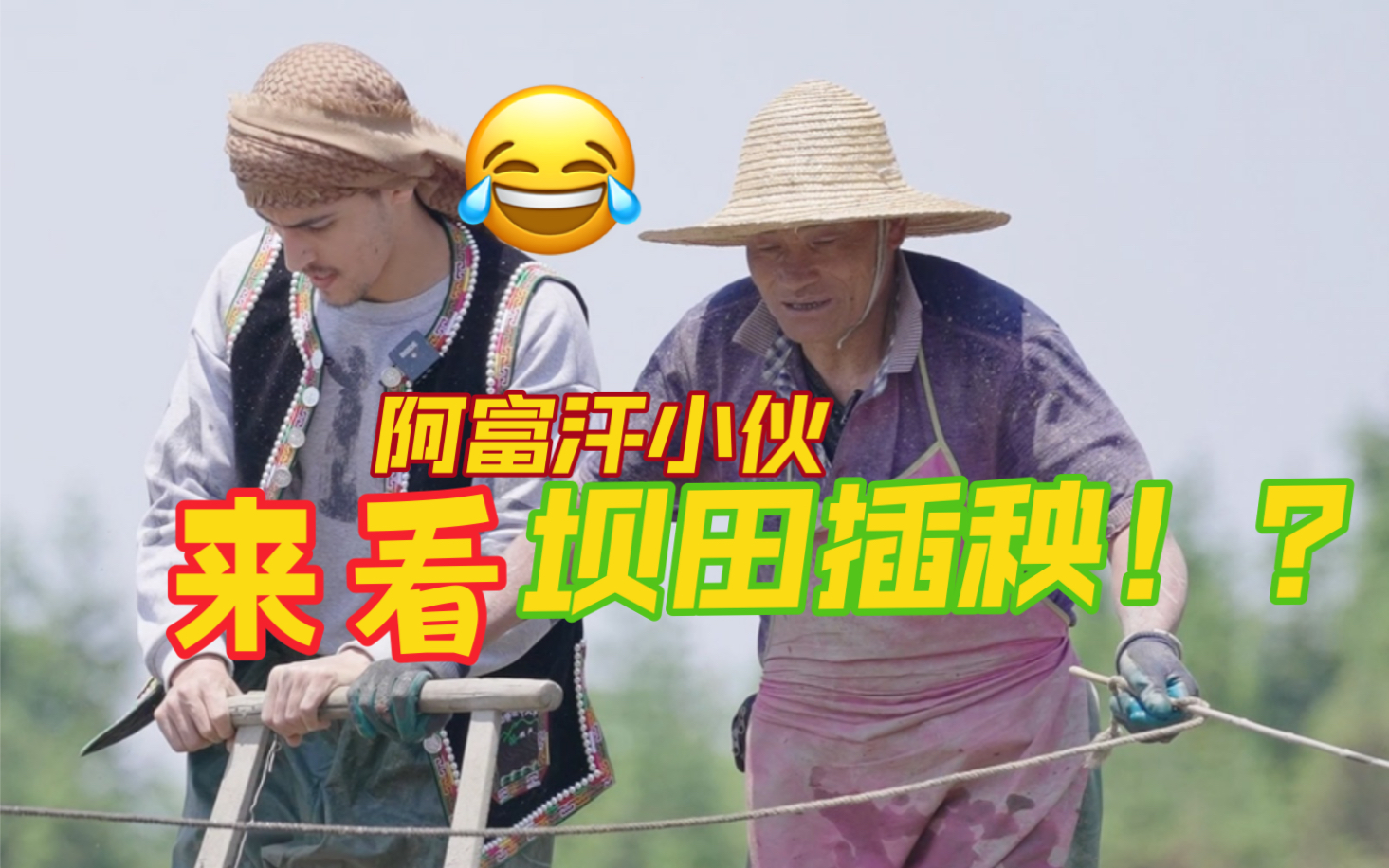 [图]回归！8月14日《Z世代眼中的七彩云南》阿富汗小伙元阳行开启初秋季！