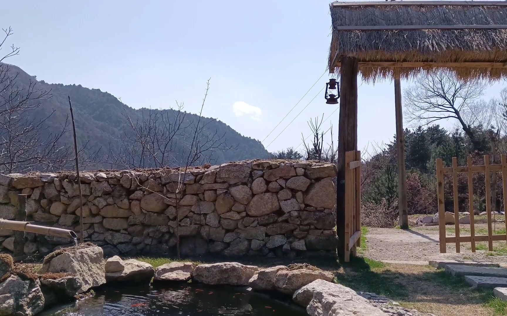 城里人来看看土豆是怎么种的吧,他28岁隐居终南山,人生中第一次种土豆