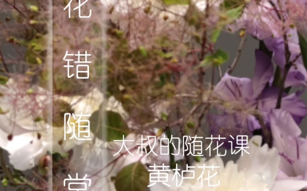 黄栌花开哔哩哔哩bilibili