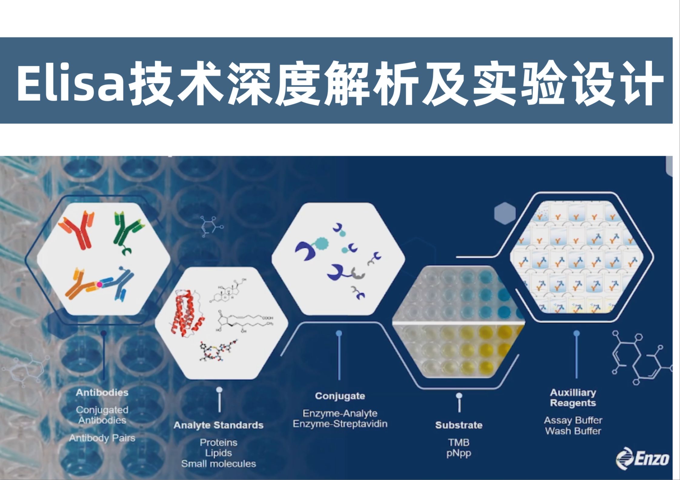 Elisa技术深度解析及实验设计哔哩哔哩bilibili
