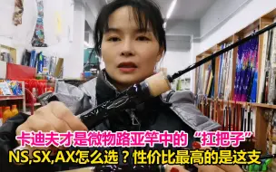 Télécharger la video: 谁才是微物路亚竿中的扛把子？禧玛诺卡迪夫NS、NX又到底怎么选！