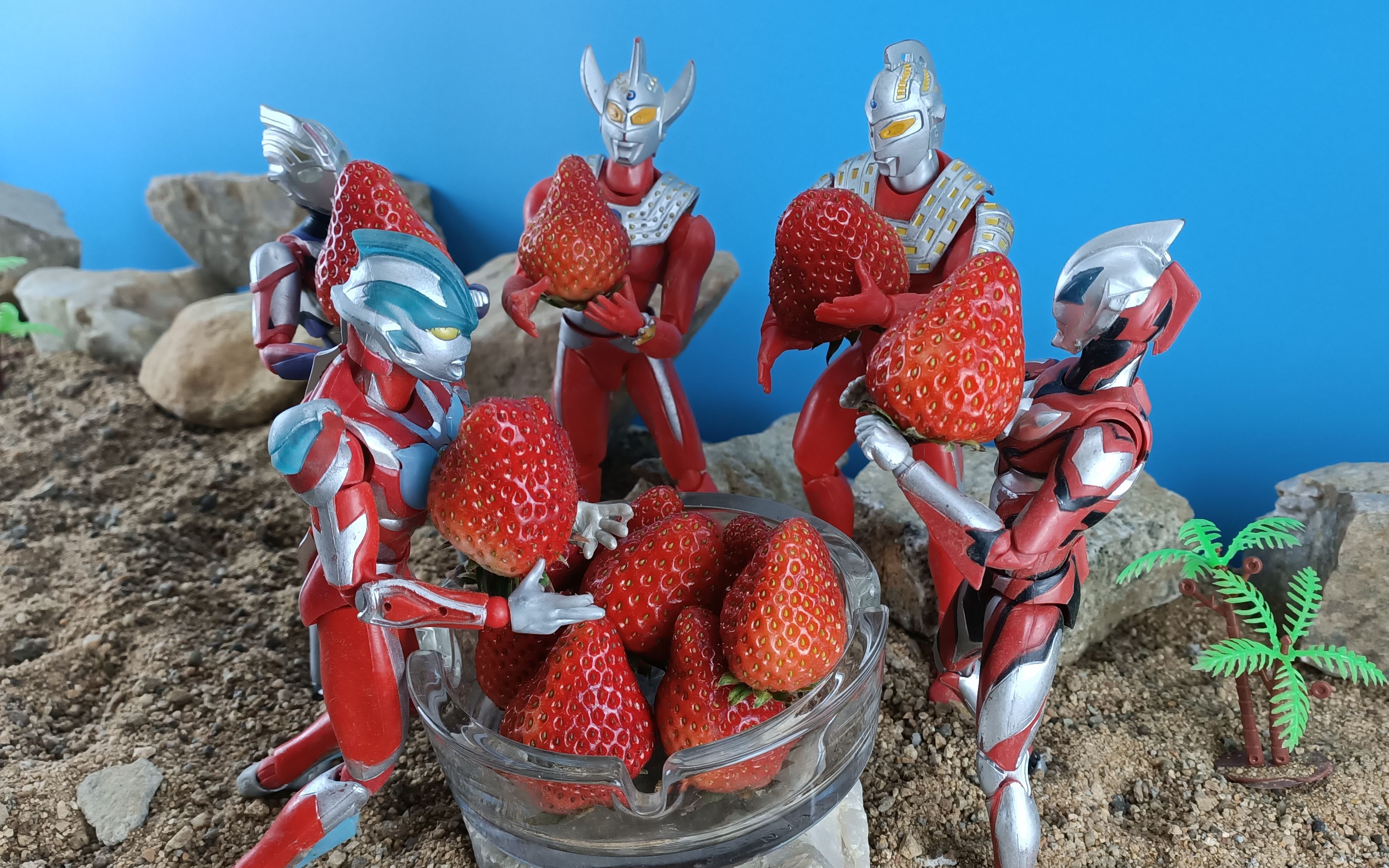 活动  奥特曼们一起分享美味的草莓,太好吃了,好美味啊