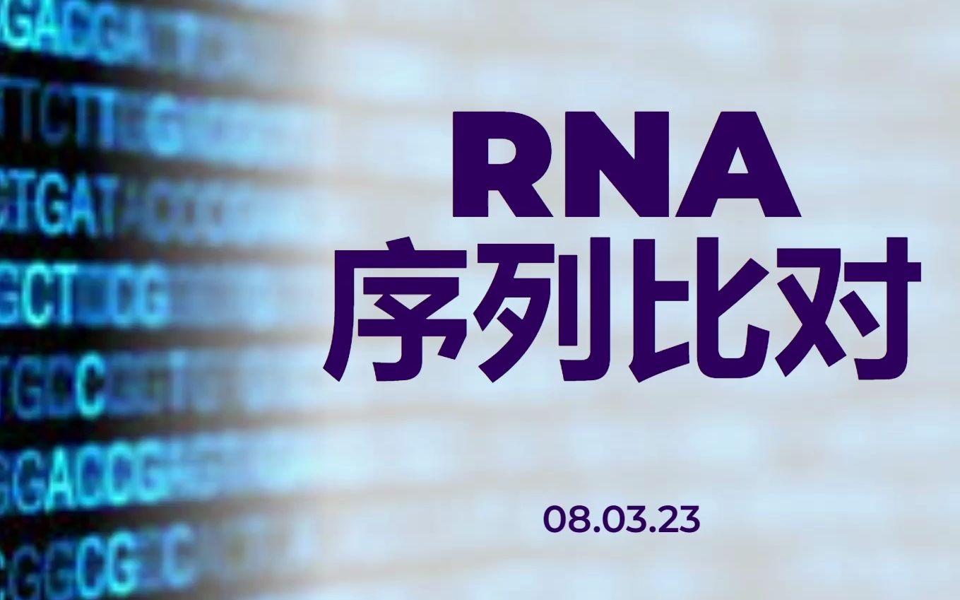 3RNA序列比对哔哩哔哩bilibili