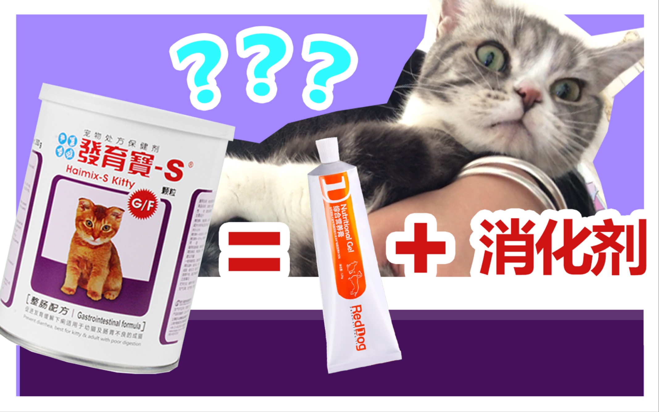 发育宝S(猫用)=红狗营养膏+食品添加剂?哔哩哔哩bilibili