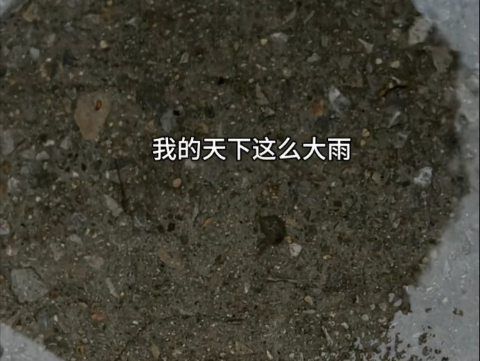 下雨天老师只能穿拖鞋了