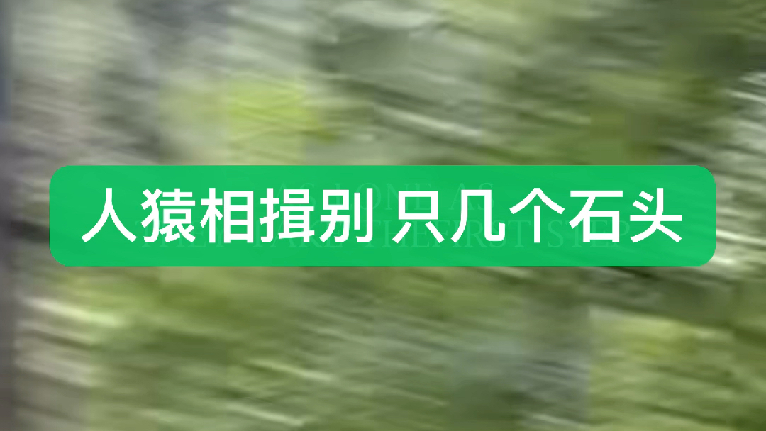 [图]虎丫学考古#我从哪里来#人猿相揖别只几个石头磨过