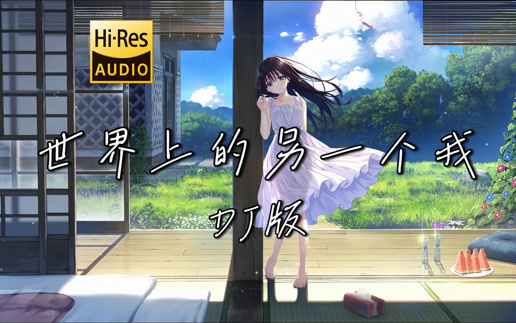 【老歌带摇】《世界上的另一个我 (Remix)》- DJ阿智 <无损音质> 「岁月为我大浪淘沙 而你被留下」