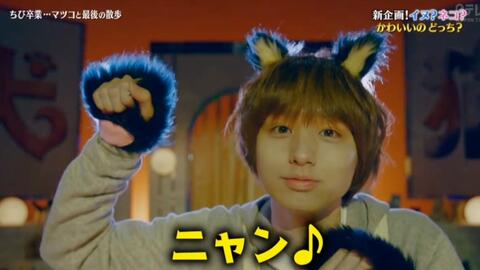 Hey Say Jump 志村动物园新装开店3小时sp 标清生肉 哔哩哔哩 Bilibili