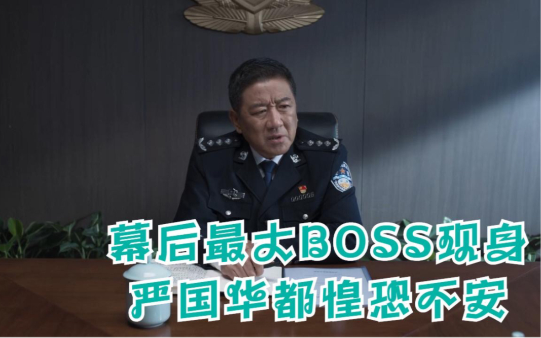 罚罪:幕后最大BOSS现身,严国华都惶恐不安,常征上演大义灭亲哔哩哔哩bilibili