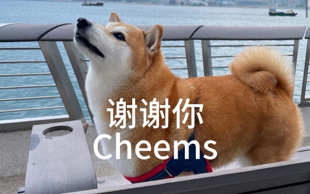 谢谢你cheems高清原图图片