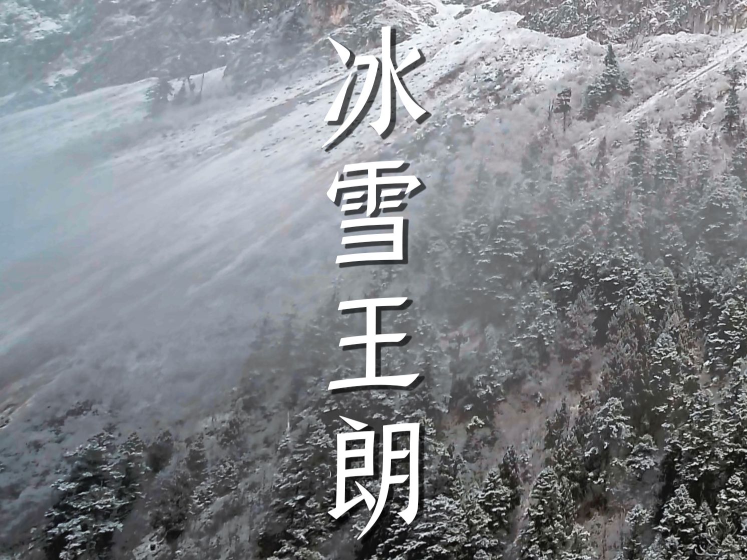 冰雪王朗|带你走进大熊猫的冰雪大世界!哔哩哔哩bilibili