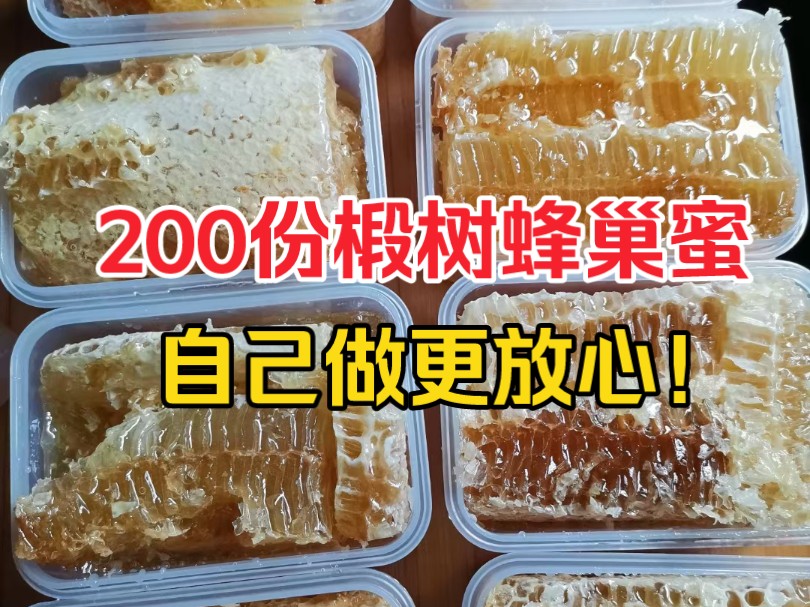 下单蜂蜜免费送!200斤天然蜂巢蜜!自己做,更放心!哔哩哔哩bilibili