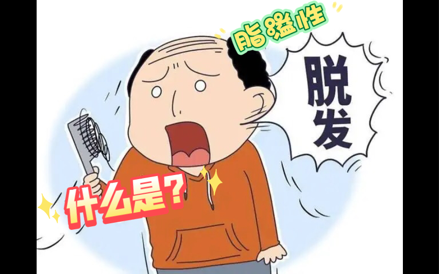 什么是脂溢性脱发?怎么判读最正确?哔哩哔哩bilibili