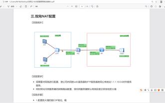 双向NAT(源NAT+NAT server)