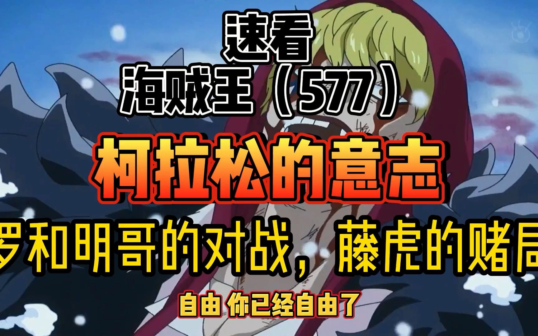 海贼王577 柯拉松的意志 罗和明哥的对战,藤虎的赌局