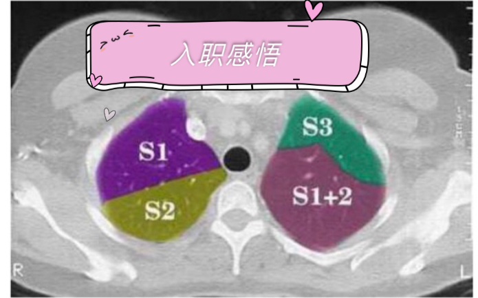 【入职三个月的小感受】岗前培训 / 呼吸科 / ICU / 疫情防控 / 肿瘤科 /哔哩哔哩bilibili