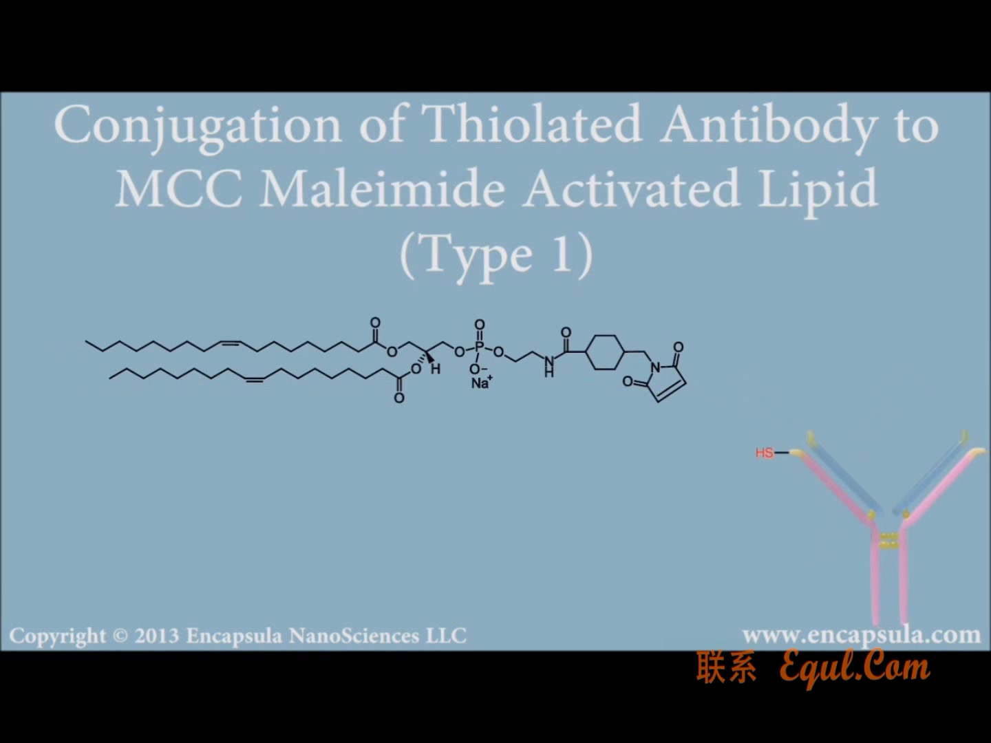 Equl Encapsula NanoSciences 免疫脂质体如何将抗体与脂质体结合哔哩哔哩bilibili