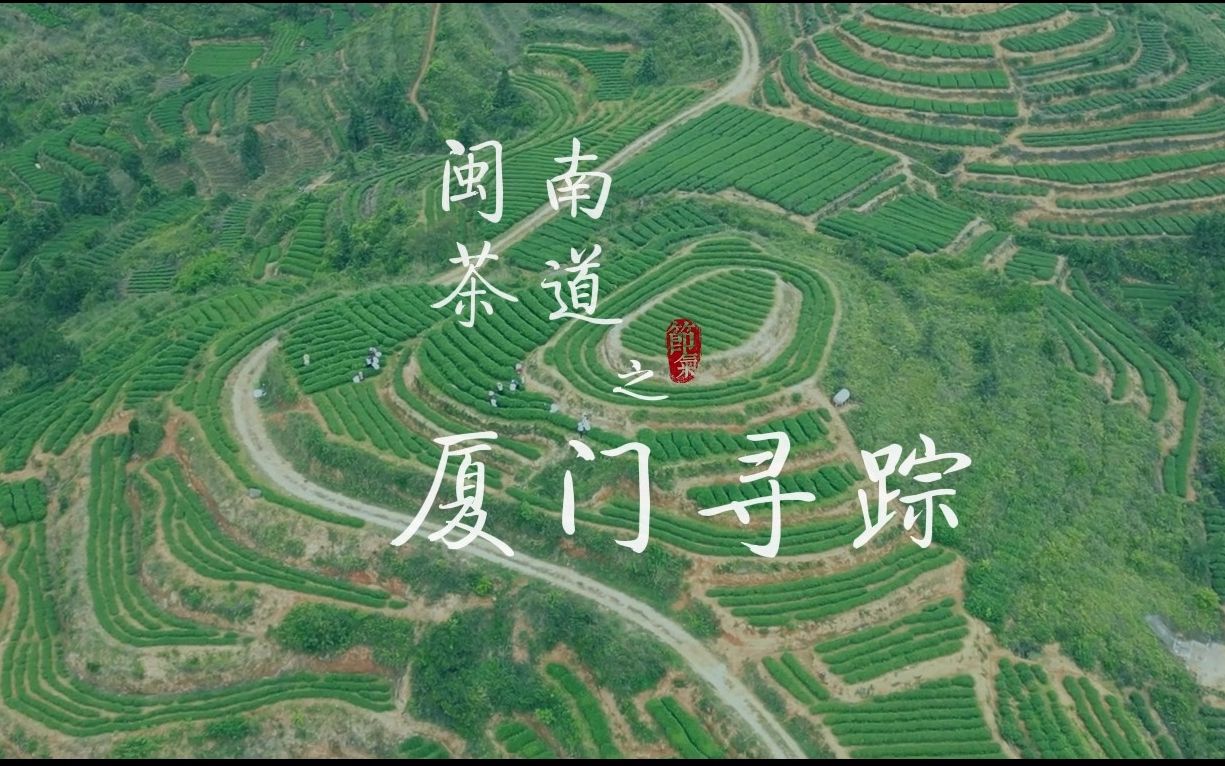 [图]十二届厦门网络文化节 “多元魅力 多彩厦门”系列纪录片《闽南茶道之厦门寻踪》