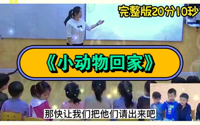 幼兒園公開課|小班數學《小動物回家》2023 視頻 教案 ppt課件 課中