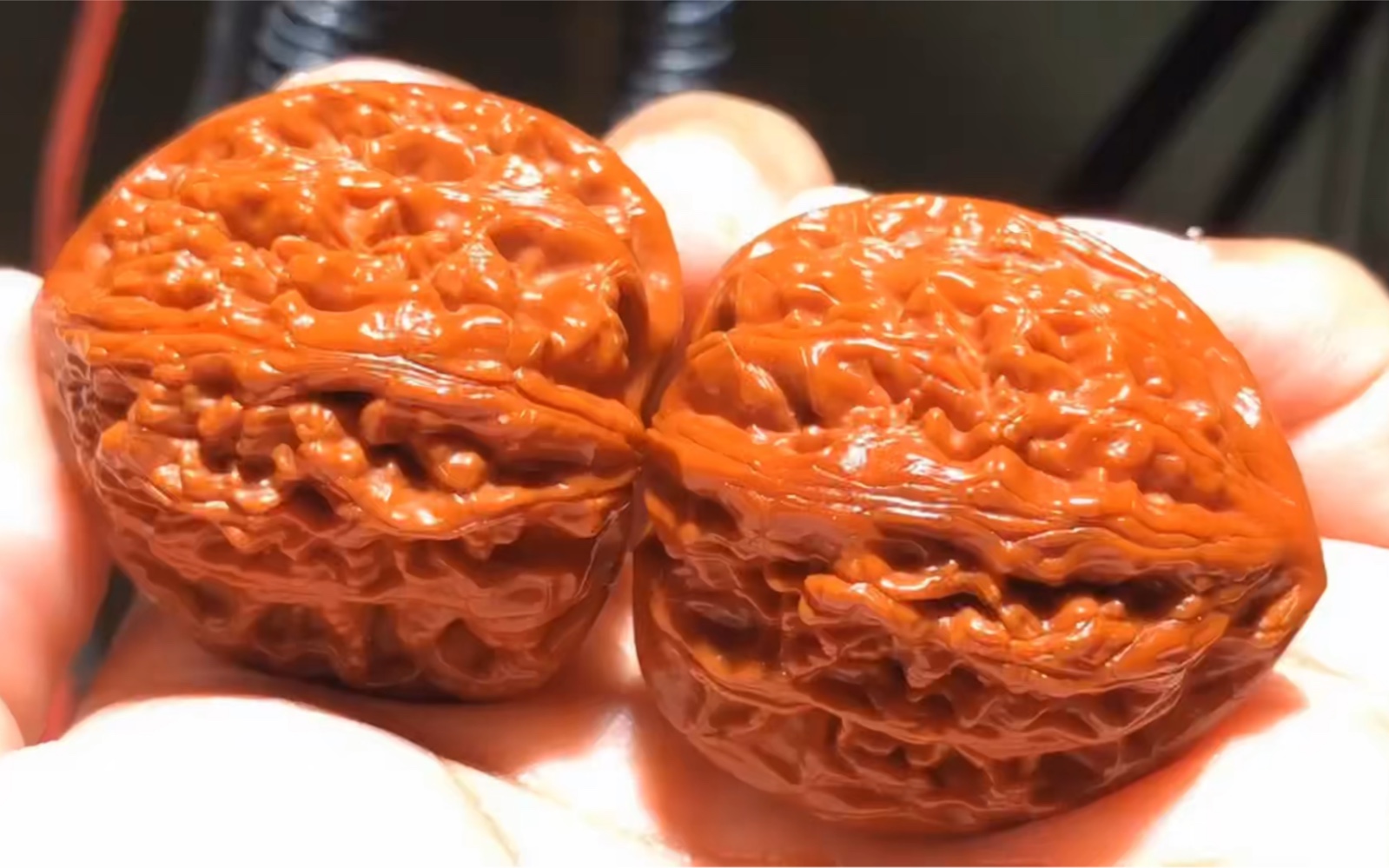 5九山顶望月狮子头,京东名核在普在册不多科普,配对不错包浆好没有