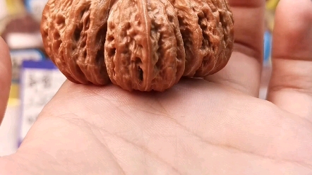 张掌柜文玩核桃—秋子异型三连体收藏款,挑战一下,三连体,有能配的