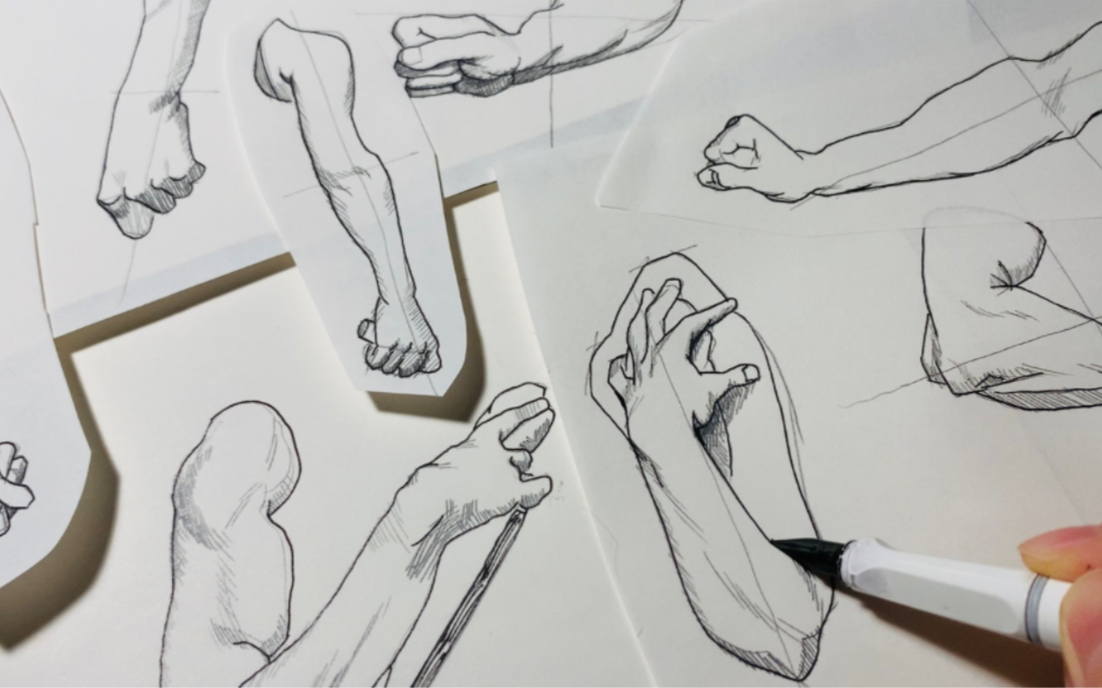 巴尔格素描教程 手臂