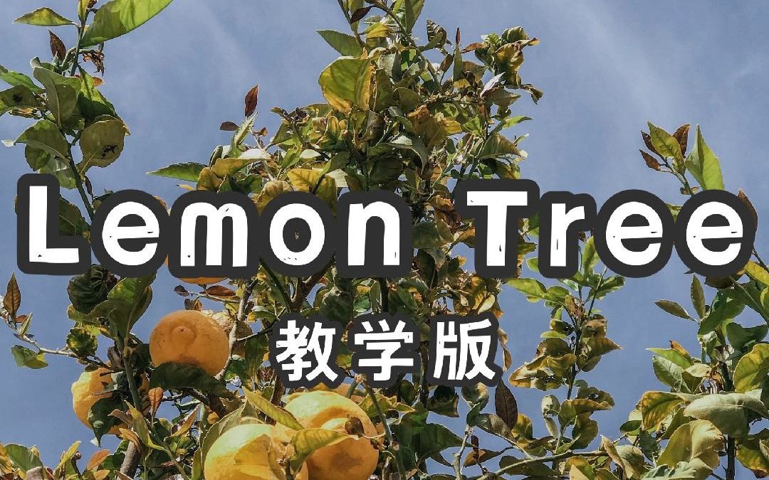 Lemon Tree 慢速教学 岁月里如柠檬一样酸酸楚楚的感情让我们茁壮成长~哔哩哔哩bilibili