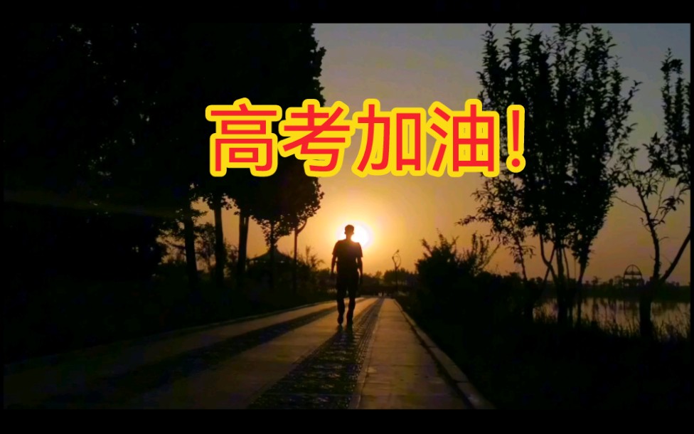 愿奋斗的你梦想成真,得偿所愿!哔哩哔哩bilibili