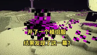 开了一个模组服，结果发现这一幕？
