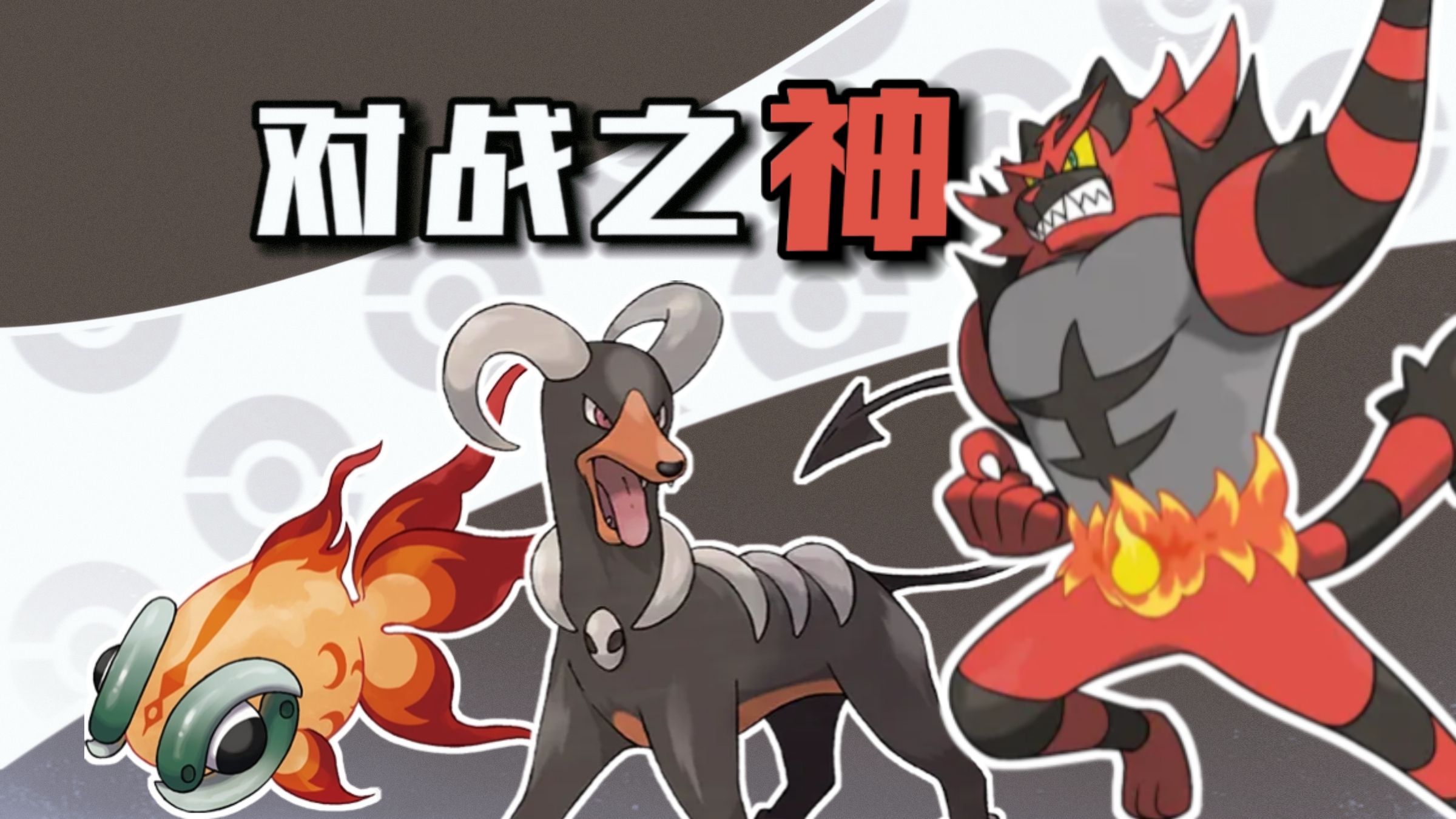 深度解析三只火恶属性宝可梦|黑鲁加 炽焰咆哮虎 古玉鱼