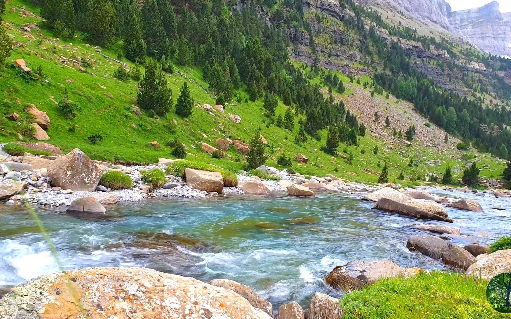 【白噪音】1.5小时丨山间的一条河流丨大自然实景(放松&解压)